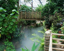 廣州華南植物園溫室群人造霧系統
